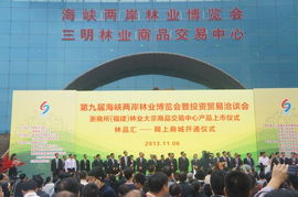 我校代表團(tuán)赴閩參加第九屆海峽兩岸林業(yè)博覽會暨投資貿(mào)易洽談會，開展專業(yè)咨詢服務(wù)