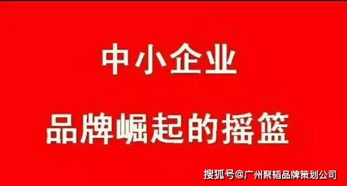 中小企業(yè)如何通過專業(yè)經(jīng)濟(jì)貿(mào)易咨詢，高效打造品牌策劃